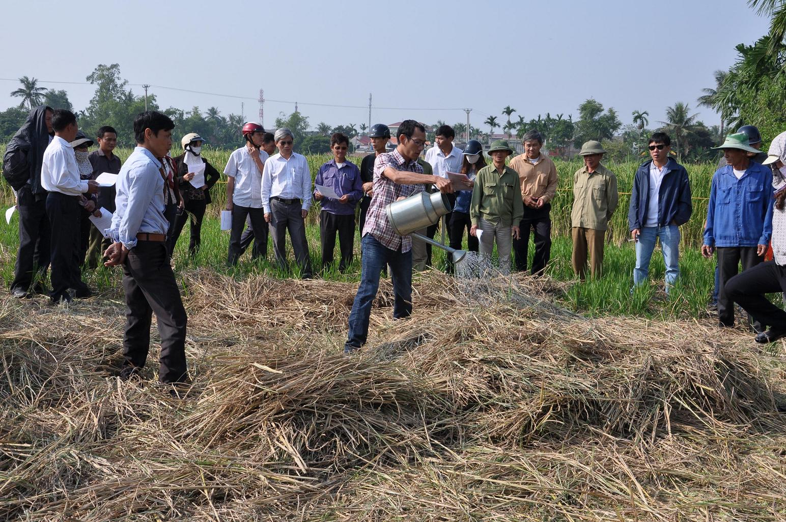 Mô hình sản xuất nấm ăn và phân mùn hữu cơ từ phế phụ phẩm nông nghiệp góp phần giảm thiểu ô nhiễm môi trường